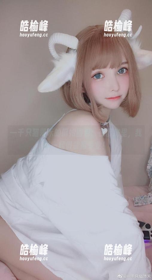 一千只猫薄禾 一千只猫薄禾的厨娘图包:在厨房里,我们一起假装很专业!