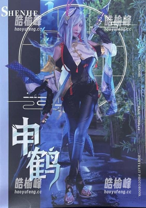 在下萝莉控ii 当在下萝莉控ii变身埃吉尔女仆,美图资源快来围观呀!