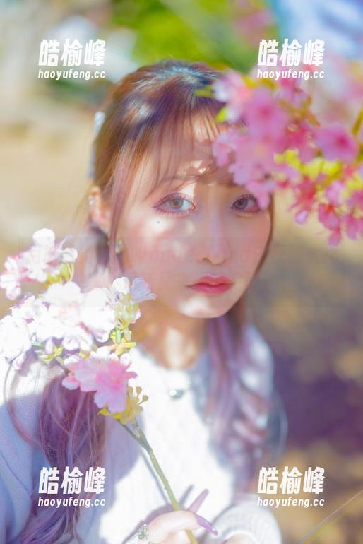 月城委员会的WonderLand：原图大揭秘，更新又来一波撒野！