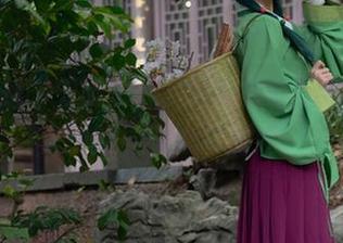 上网盘找“矢量鱼”，时兔女郎的作品让你大开眼界，心跳加速。